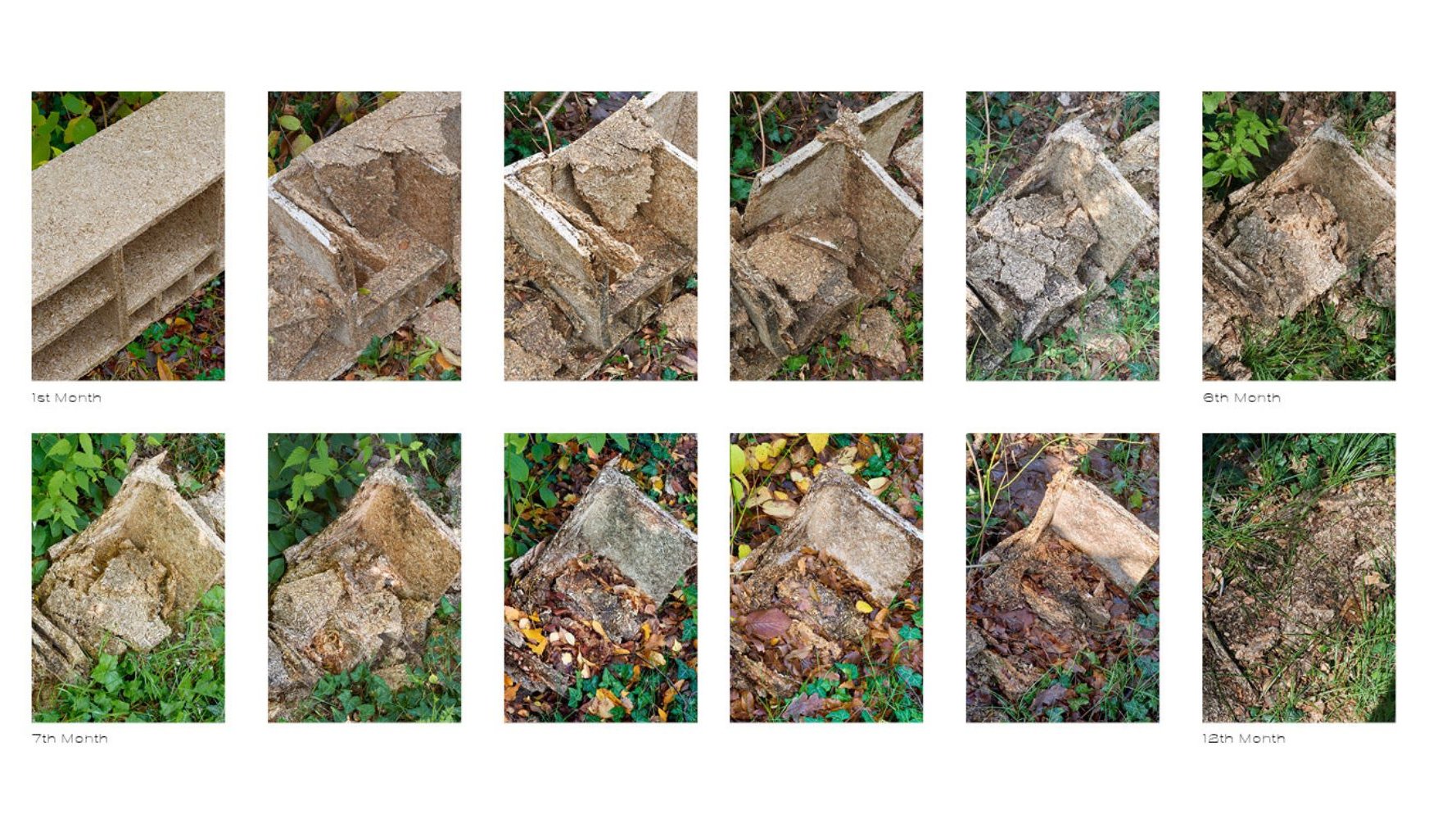 Compostboard : panneaux circulaires biodégradables en fibres naturelles