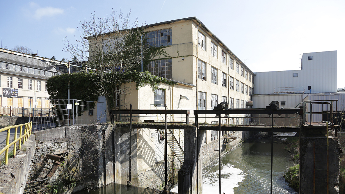 Renaturer la Wooltz : un projet écologique et social