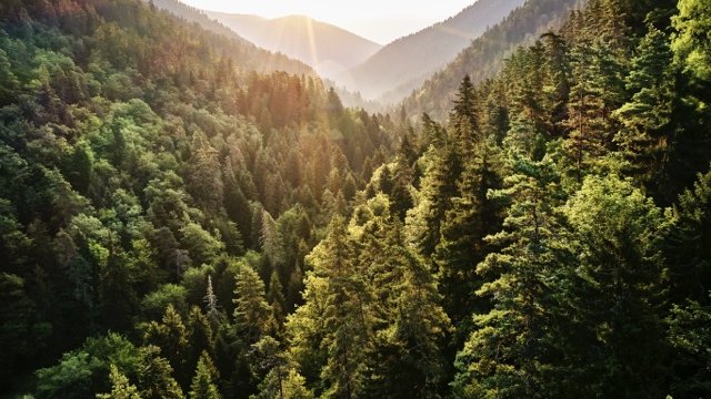 Des nouveaux fluides frigorigènes au service des objectifs de décarbonation