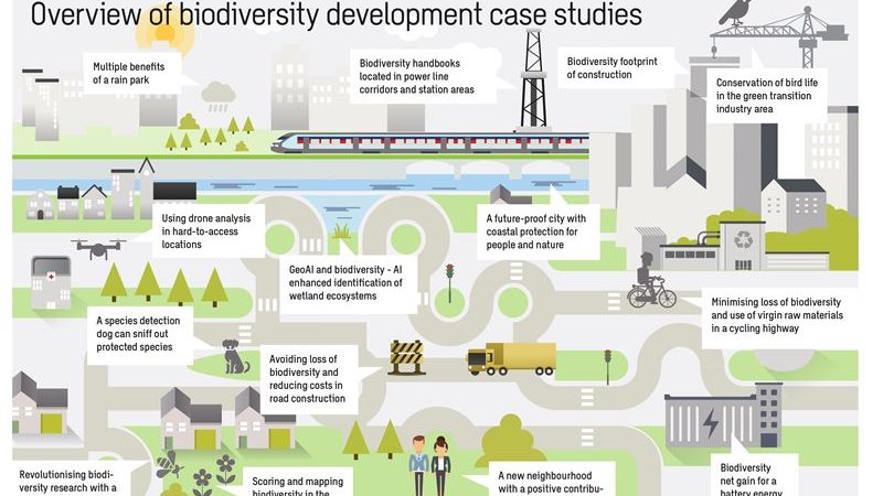 Comment utiliser l'innovation pour restaurer la biodiversité en Europe ?