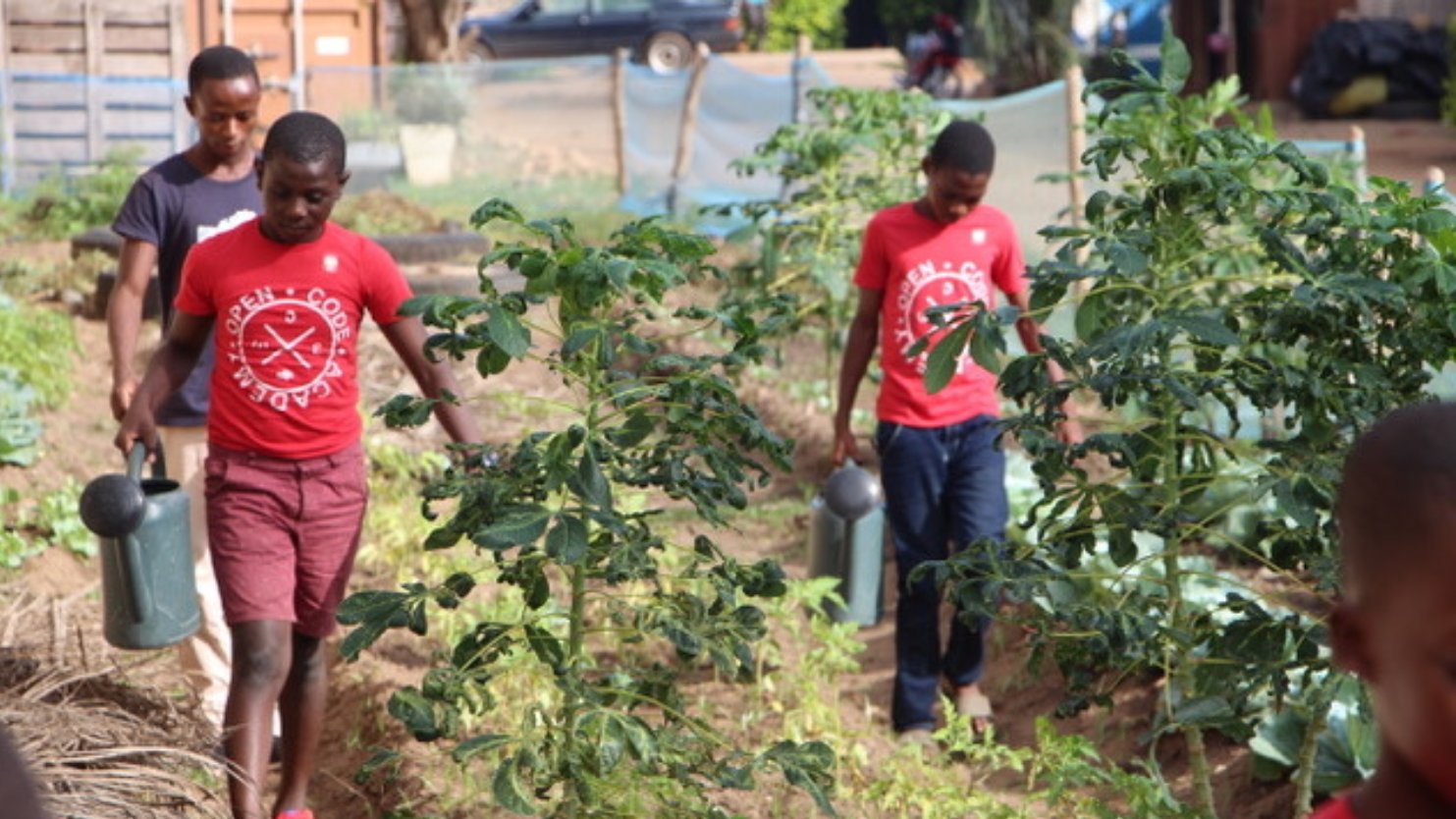 Communs numériques et transition urbaine néovernaculaire